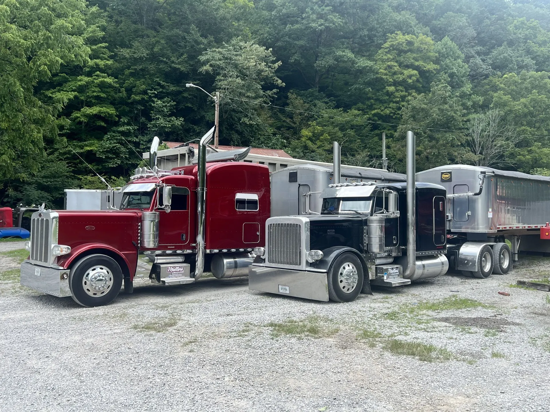 Red and black Mullins Trucking Peterbilts in the Jenkins yard